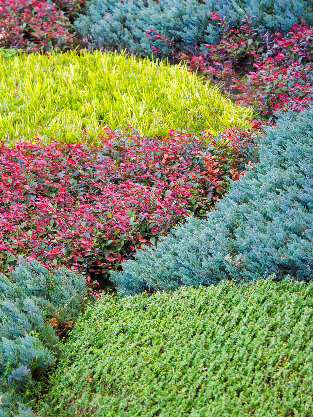 Lush, colorful groundcover and lawn plantings